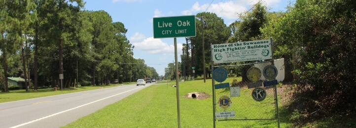 Live Oak